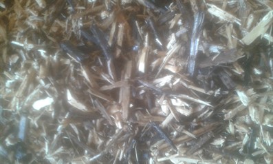 Holz