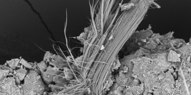 Asbestfasern News 2025