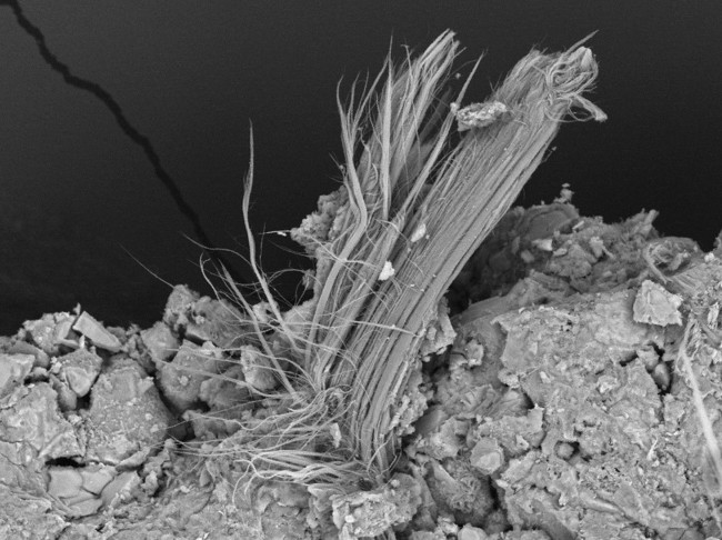 Asbestfasern News 2025