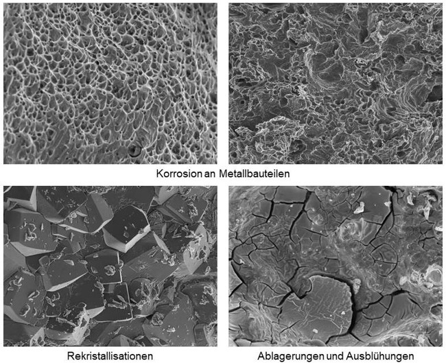 ESEM Bildbeispiele Korrosion 2025