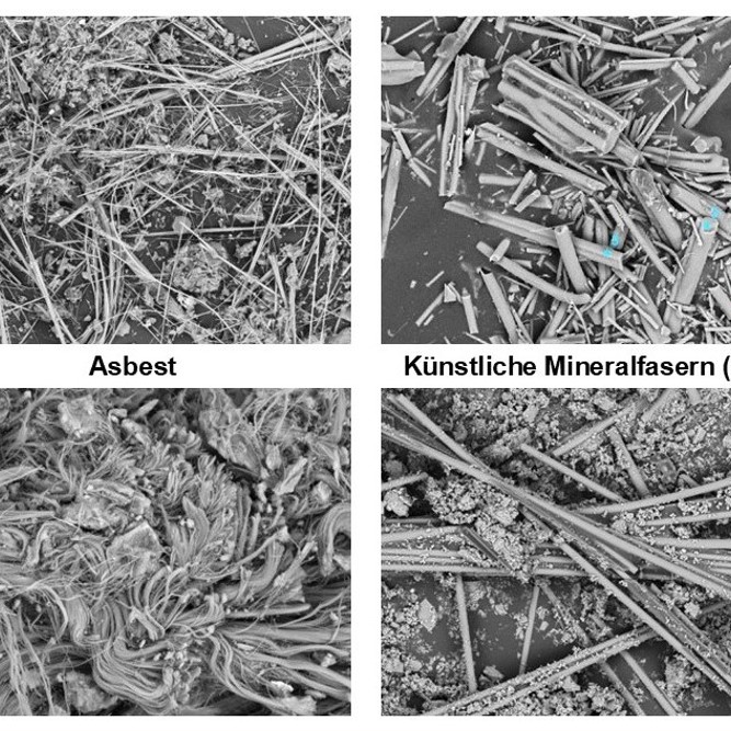 Beispielbilder REM Fasern 2025 (1)