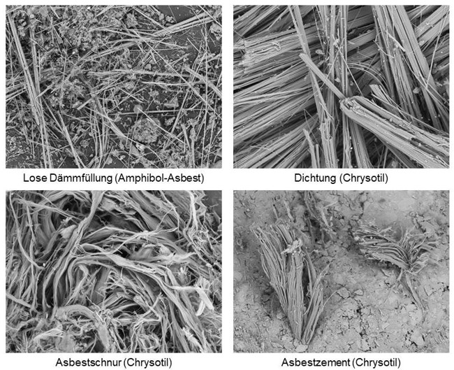 ESEM Bildbeispiele Asbest 2025